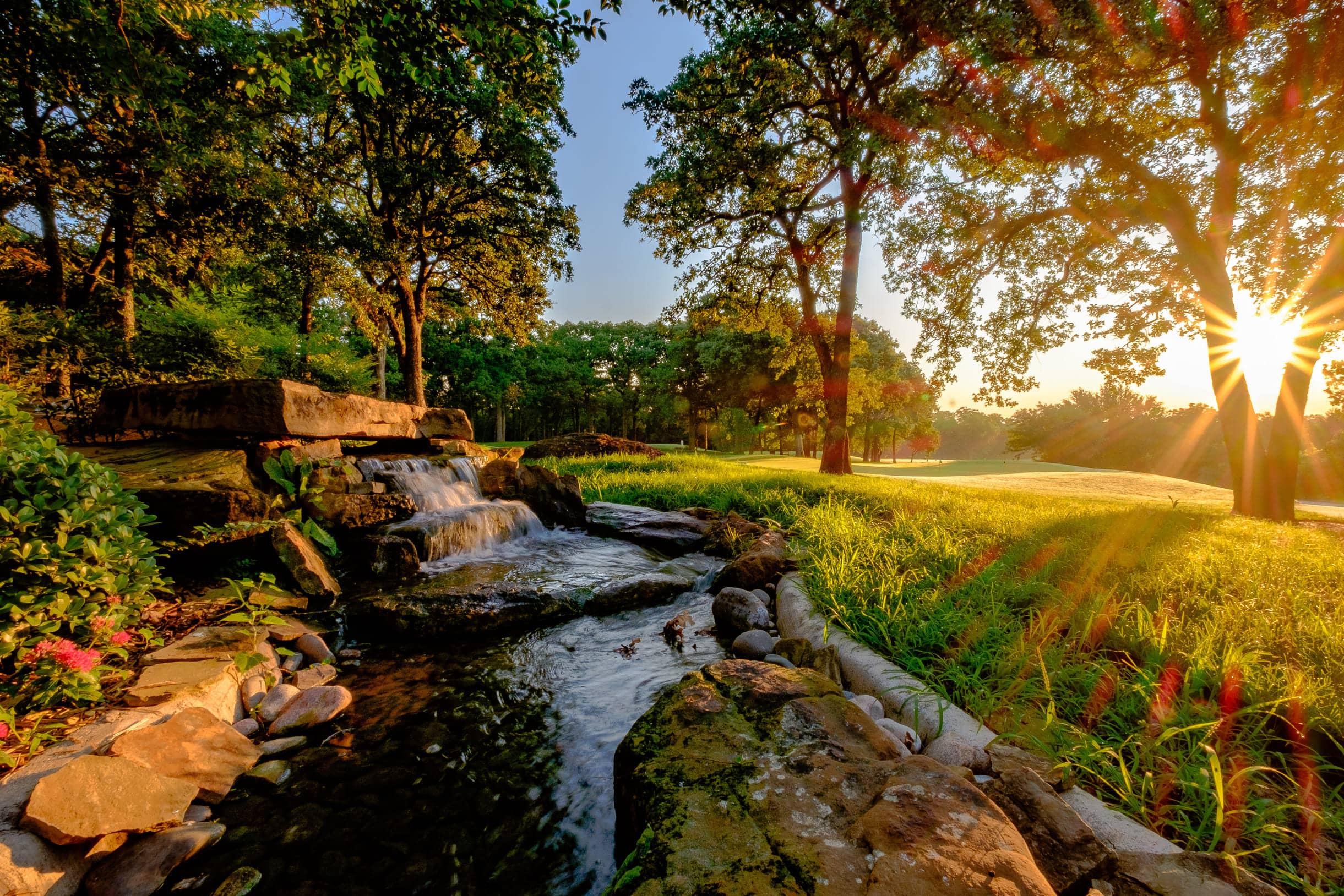 Grapevine Golf Course - Pecan