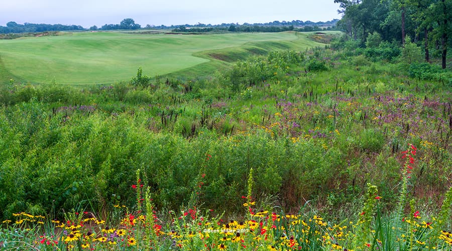 Trinity Forest Golf Club